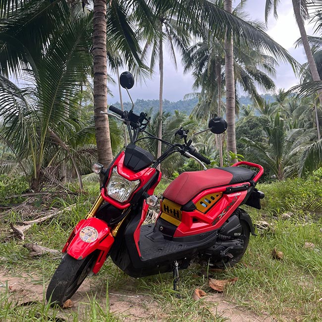 Honda Zoomer X - AuBanan Motorbike Rental