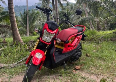 Honda Zoomer X von vorn