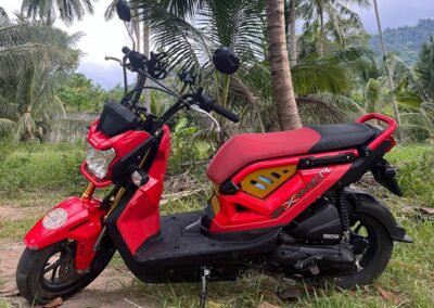 Zoomer X von der Seite